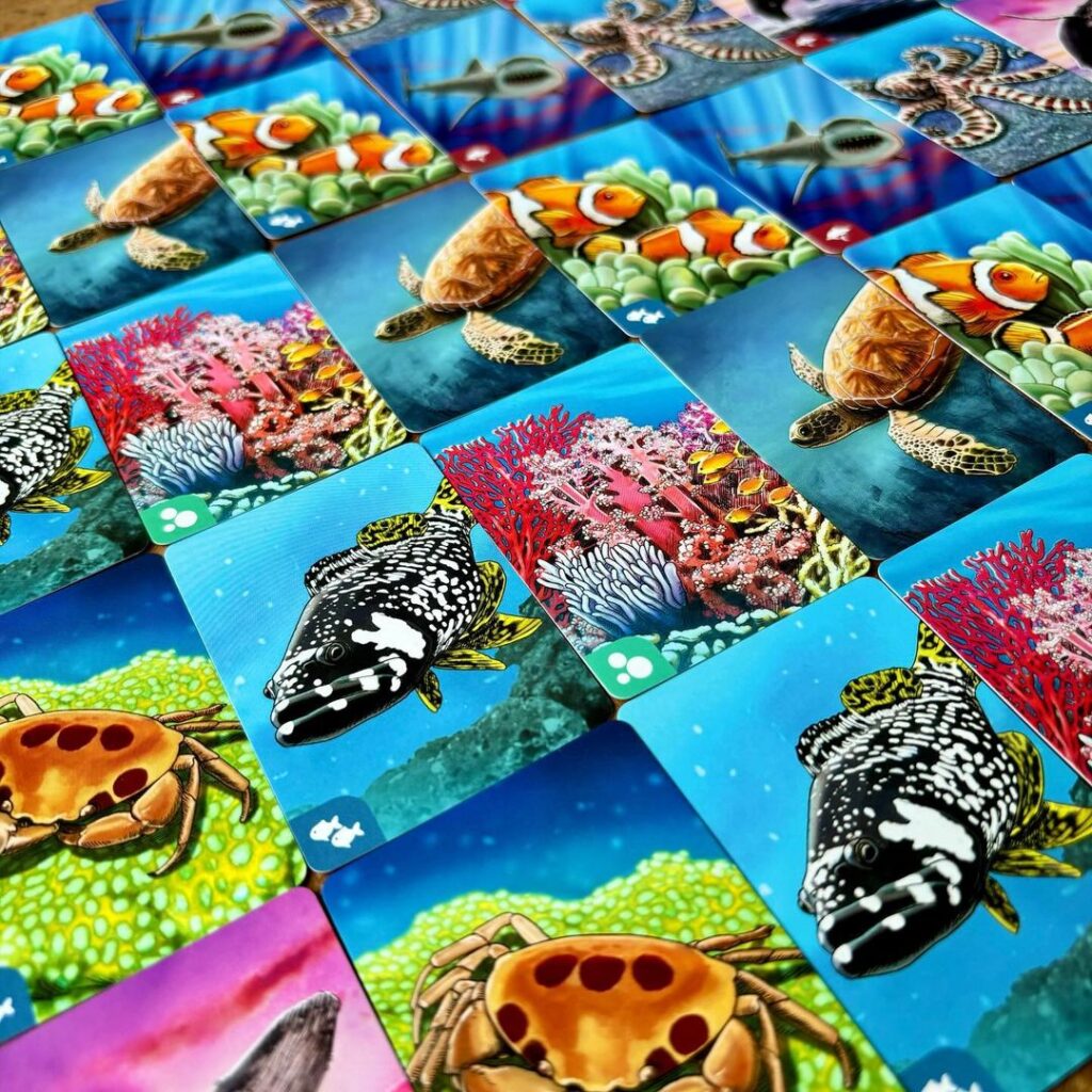 Ecosystem coral reef (3)